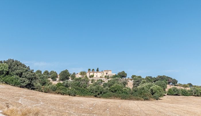 Son Perot Alomar mallorca